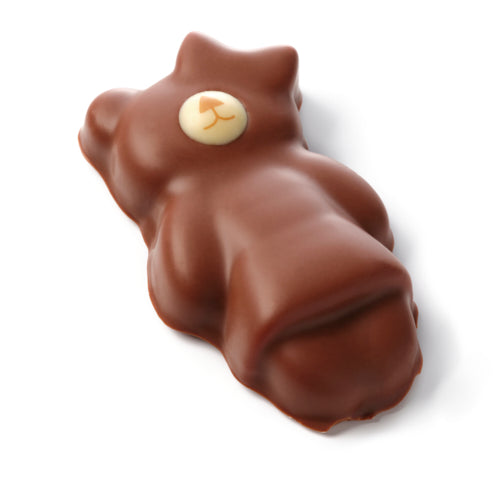 OURSON GUIMAUVE CHOCOLAT LAIT FILLE