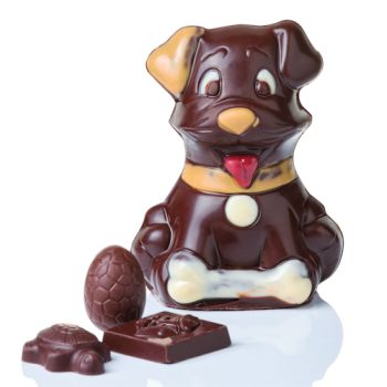 JACK LE CHIEN CHOCOLAT NOIR GARNI