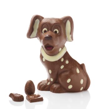 LE DALMATIEN CHOCOLAT  LAIT GARNI