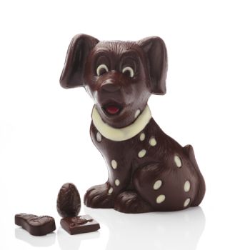 DALMATIEN CHOCOLAT  NOIR GARNI