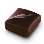 PRALINÉ INTENSE NOIR